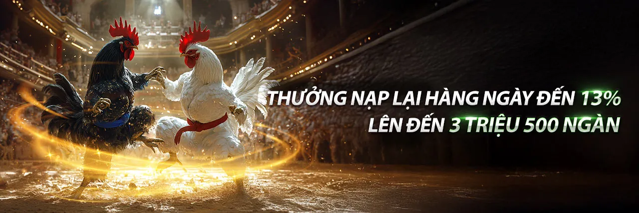 Đá Gà Đen.com – Sân đấu gà trực tuyến